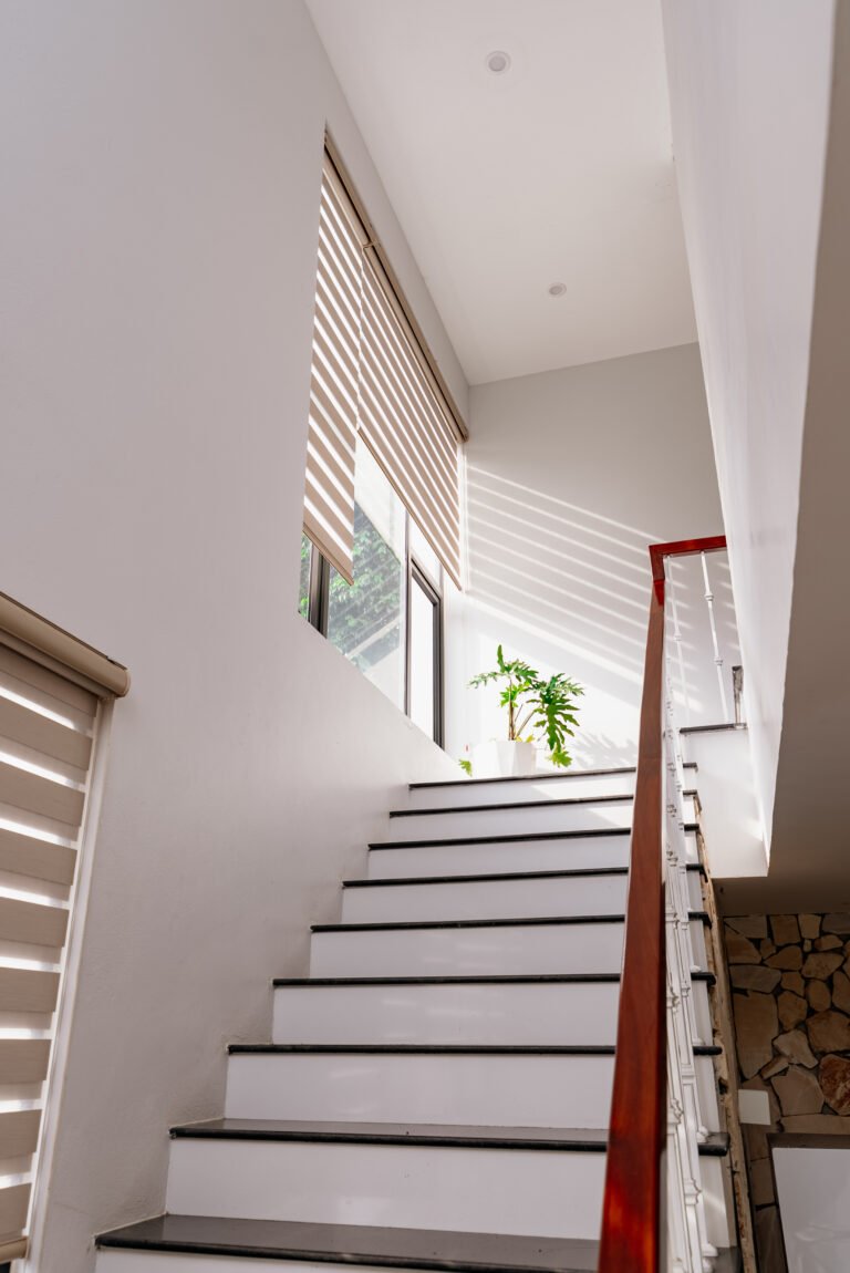 Xenia House - Đối Tác
