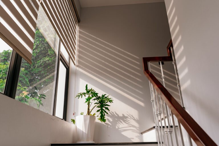 Xenia House - Đối Tác